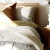 swath of sunlight shines across a well made bed and bedside table with a vase of cotton plants